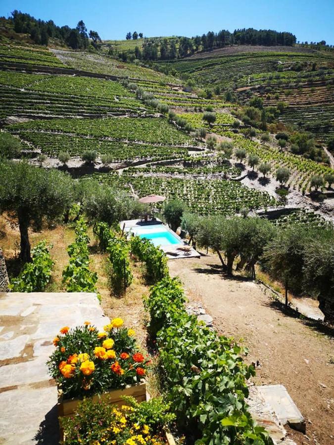 Quinta Das Fontainhas - Douro Valley Villa Tabuaco Exterior photo