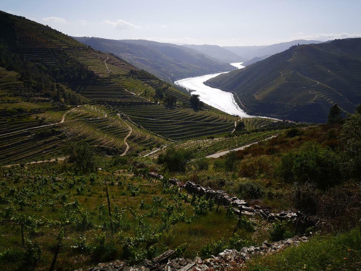 Quinta Das Fontainhas - Douro Valley Villa Tabuaco Exterior photo